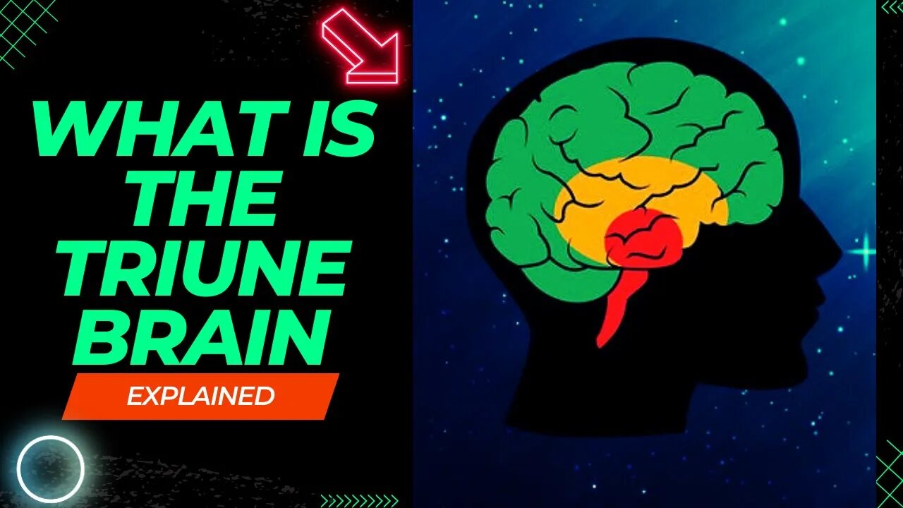 "Unlocking the Triune Brain: A Comprehensive Explanation"