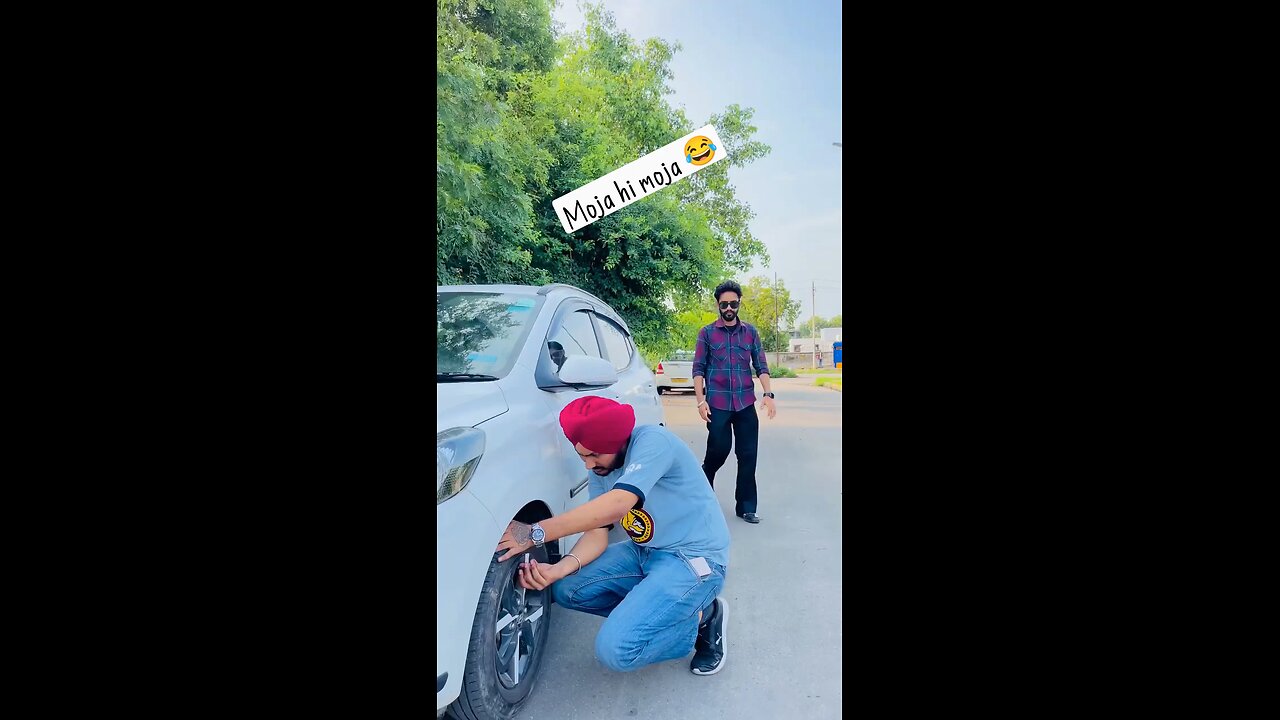 funny videos