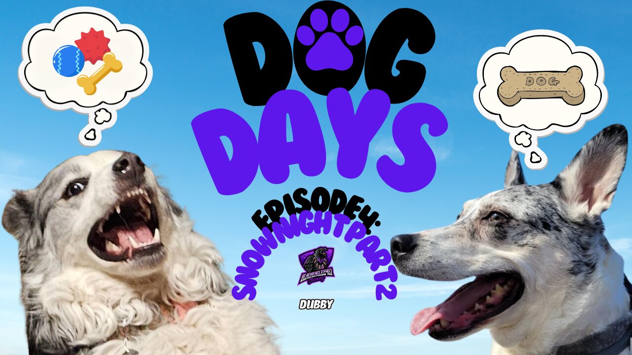 Dog Days Episode 4: Snow Night Part 2 [Australian Shepherd Blue Heeler Husky Mix]