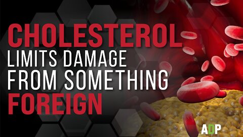 Cholesterol Limits damage From Something Foreign