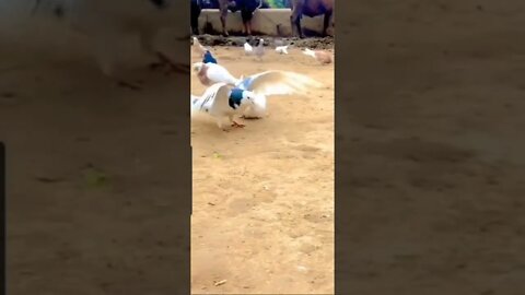 Me when yt gives me a strike for sharing Truth-devils get mad🤣