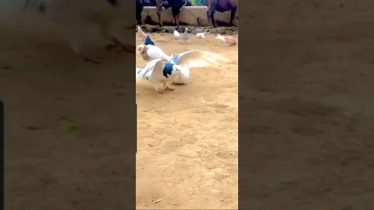 Me when yt gives me a strike for sharing Truth-devils get mad🤣