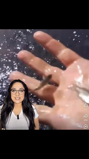 Water and fish in the middle of desert of course there is an ocean beneath the Earth