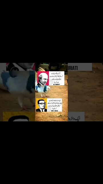 Respect 🔥🔥🔥🔥#respect #vrial #amazing #illusion #foru #wow #crazy #xyzbca #respekt OMG😱 #moments