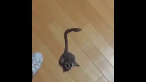 My planet needs me