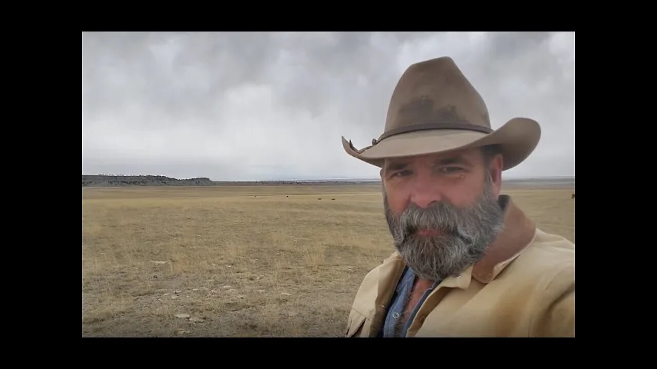 Pasture Calving