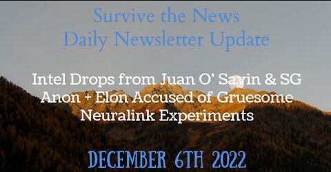 Weekly Update 12-6-22: Intel Drops from Juan O’ Savin & SG Anon + Elon's Dark Past