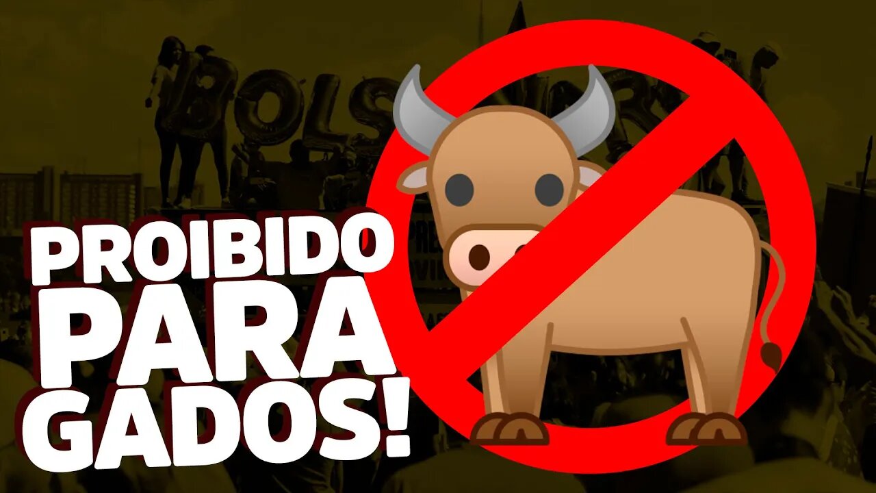 Esse vídeo não é para GADO DO BOLSONARO