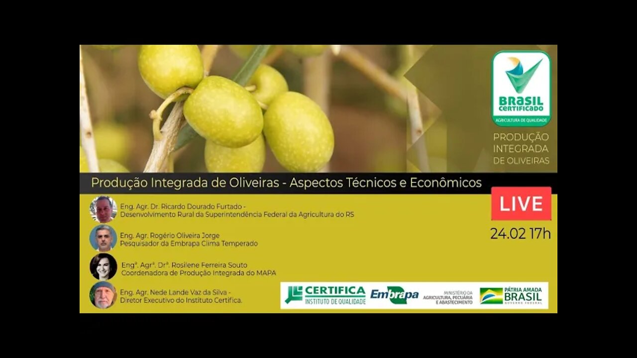 Produção Integrada de Oliveiras - Aspectos Técnicos e Econômicos