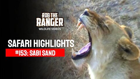 Safari Highlights #153: 28 - 31 July 2012 | Sabi Sand Nature Reserve | Latest Wildlife Sightings