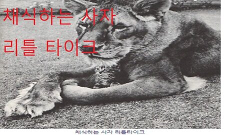 나는 왜 채식주의자가 되었는가, 하워드 리먼, 자연의도전자, 윤작, 축산업, 농부, 유기농, 녹색혁명, 토질, 미친소, 광우병, 축우, 날씬한 몸매꿈꾸는 사람의 희망 채식, 자연