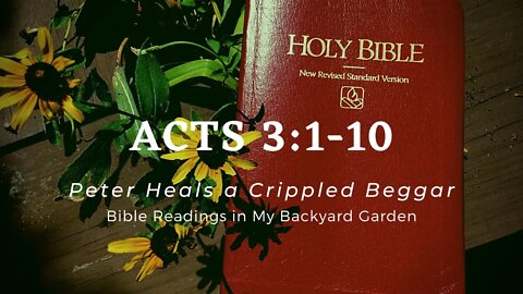 ACTS 3:1-10 (Peter Heals a Crippled Beggar)