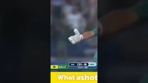 Naseem Shah Last 2 Six Asia Cup 2022 #shorts #asiacup2022#naseemshah #last2six