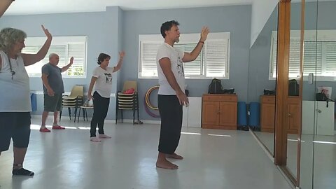 Tai chi clase con fundamentales de brazos cadera y revision de formas