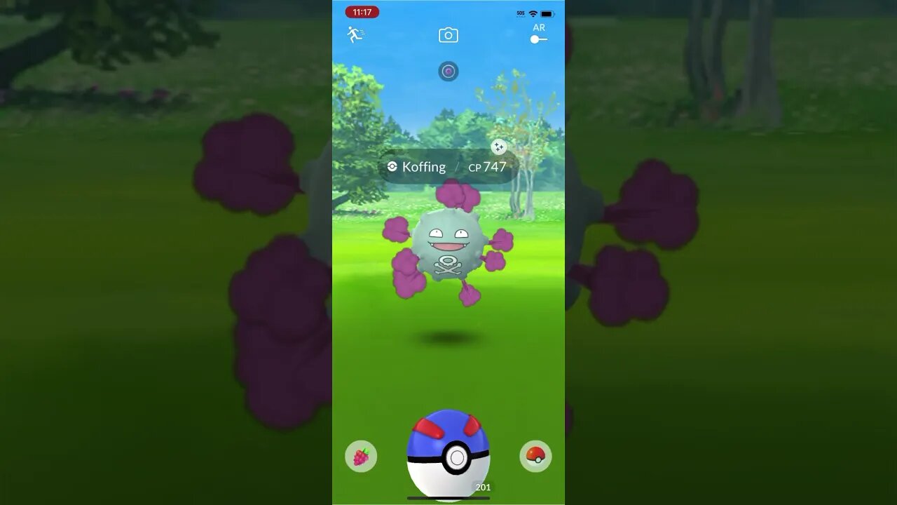 Shiny Compilation