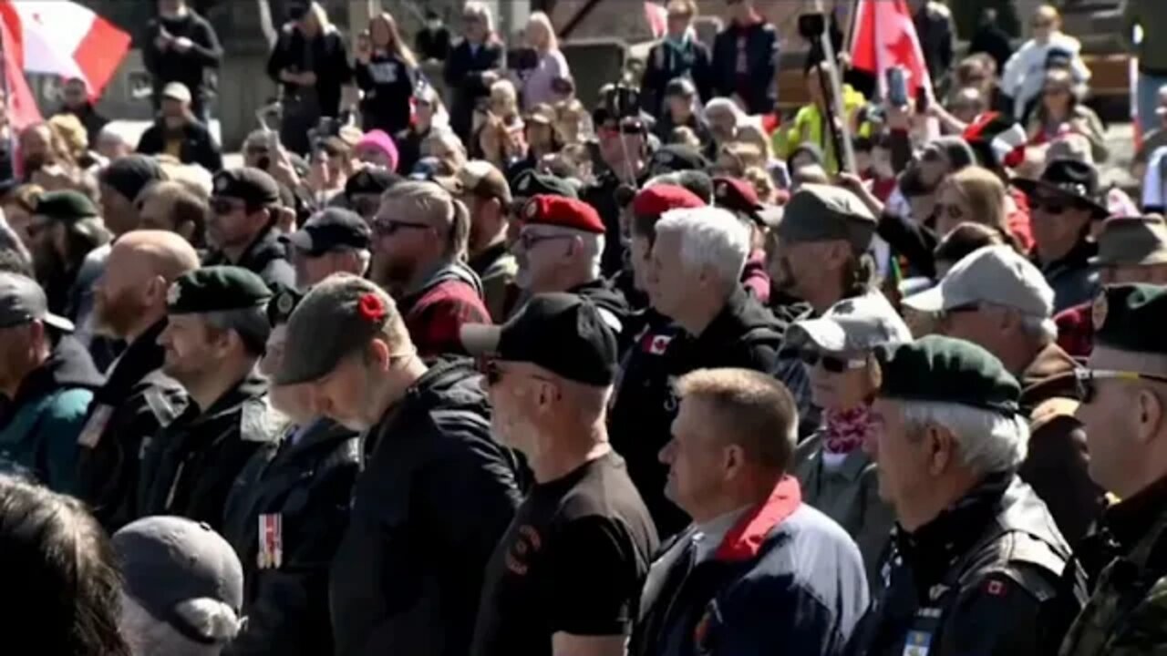 A call out to Dutch veterans