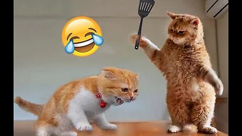 WHY DID IT DO THAT?!😂🤣😆😹 FUNNIEST ANIMAL VIDEOS COMPILATION THAT WILL LEAVE YOU LOLing!!! 🤗🤪🥰🤭