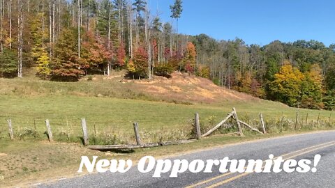 New Opportunities For The Homestead