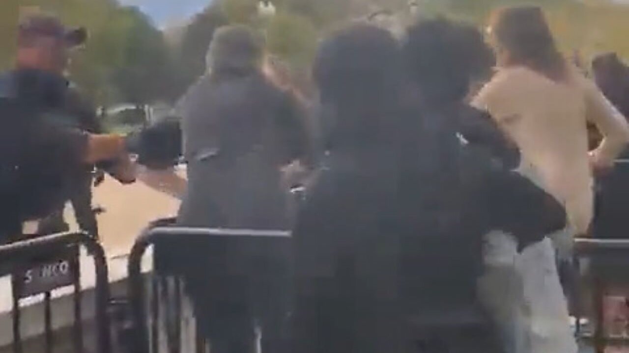 Mostly Peaceful Pro-Hamas Supporters Assault Capitol Police, Try To Breech Barrier At White House