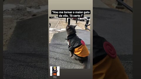 Vou me tornar o maior gato dessa vila. Tô certo!