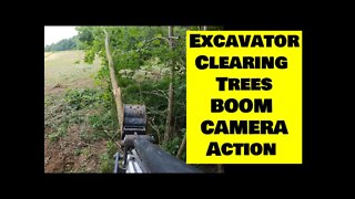 Clearing trees with mini excavator BOOM CAM. Bobcat e42 R series mini excavator