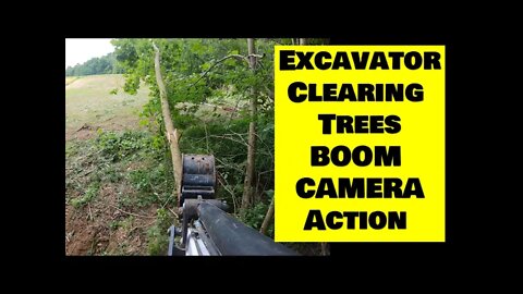 Clearing trees with mini excavator BOOM CAM. Bobcat e42 R series mini excavator