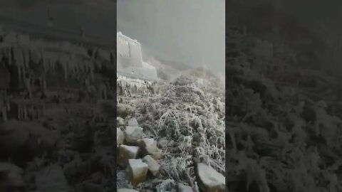 Most Popular and Trending videos(4)