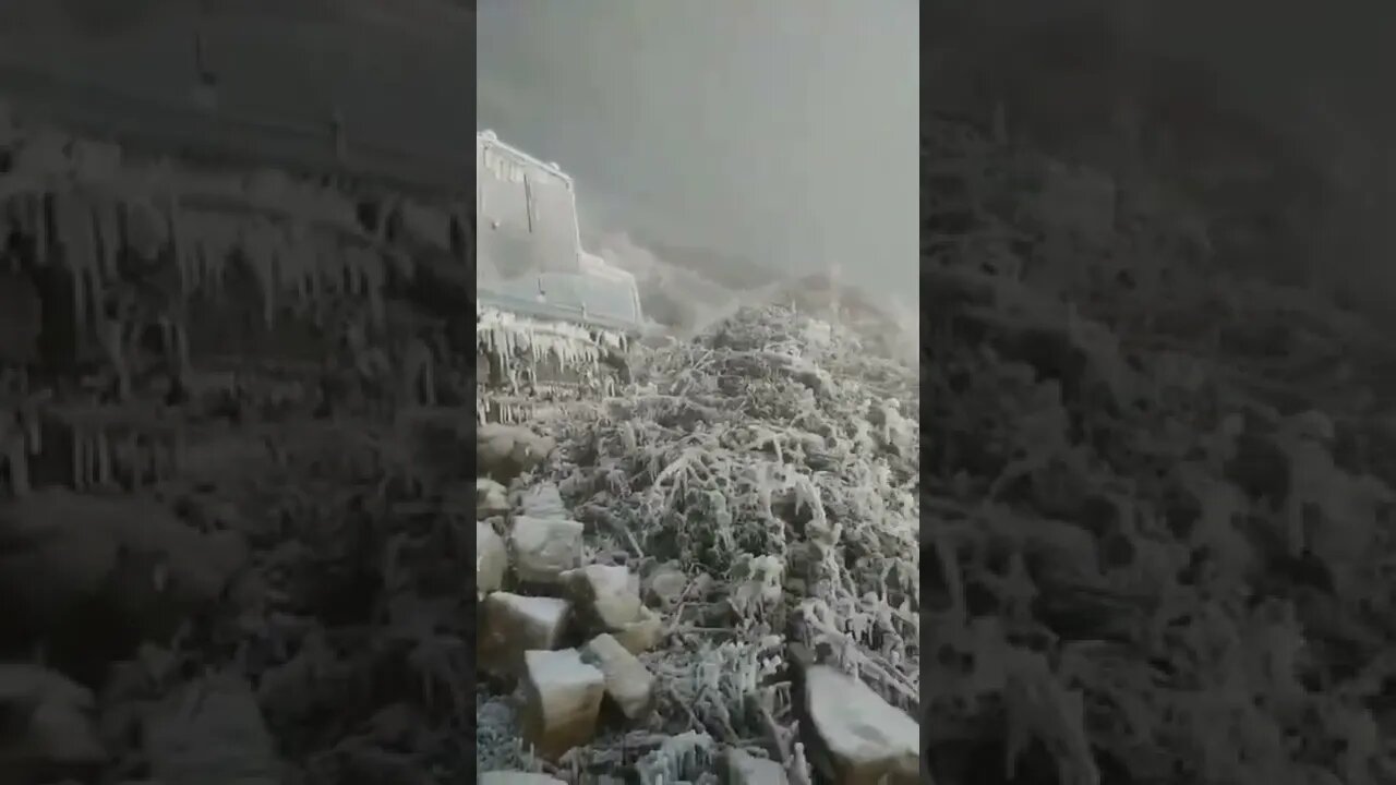 Most Popular and Trending videos(4)