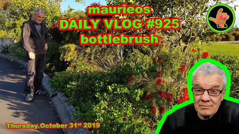 maurieos DAILY VLOG #925 bottlebrush