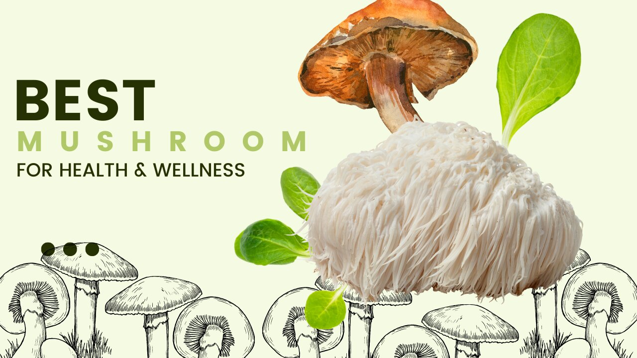 Best Mushroom For Health And Wellness 2023