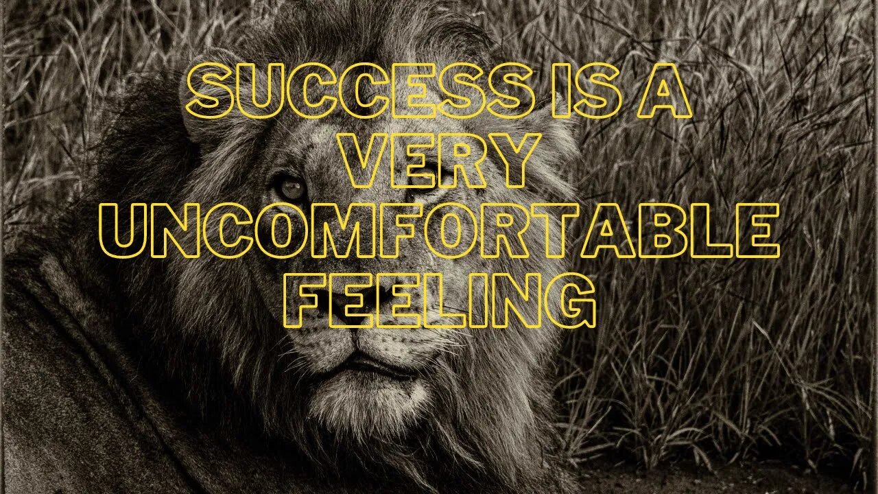 Success is a very uncomfortable feeling(steve harvey)