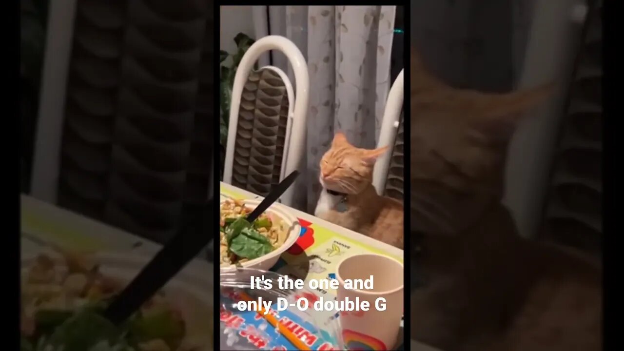 It's the one and only D-O double G #shorts