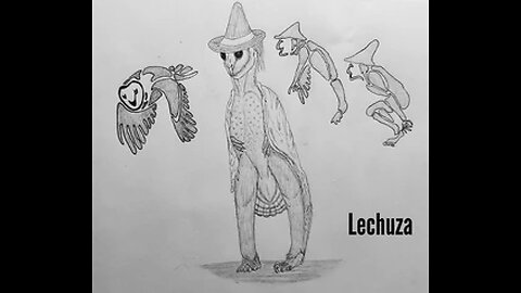 Lechuza