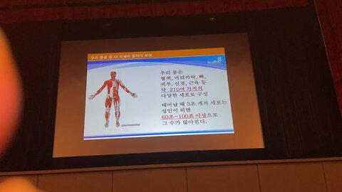 이종성 케이셀바이오 줄기세포