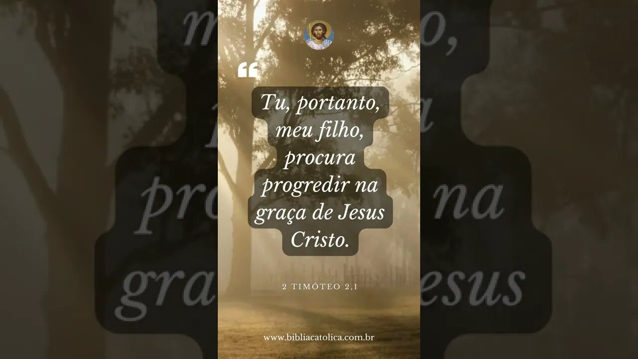 2 Timóteo 2,1 - Tu, portanto, meu filho, procura progredir na graça de Jesus Cristo.