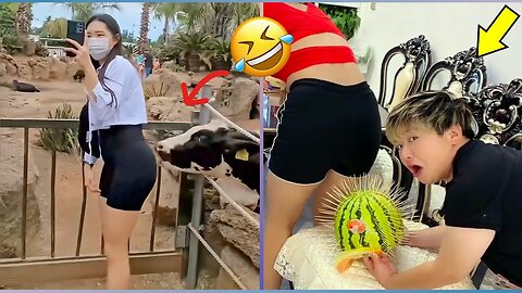 Best Funny People Doing These Things - Try Not To Laugh 😆😂🤣