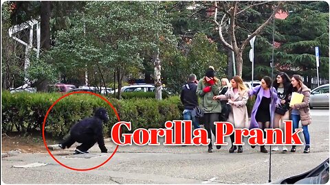 Gorilla Prank || Prank Video || Bushman Prank || PrankXYZ