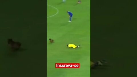 Nossos jabutis ! Ooo futebol brasileiro dos memes. #futebol #fy #jogos #shorts #short