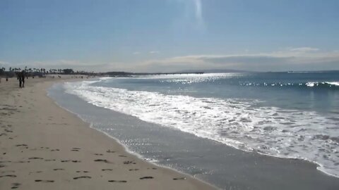 Venice Beach on Feb. 10, 2020