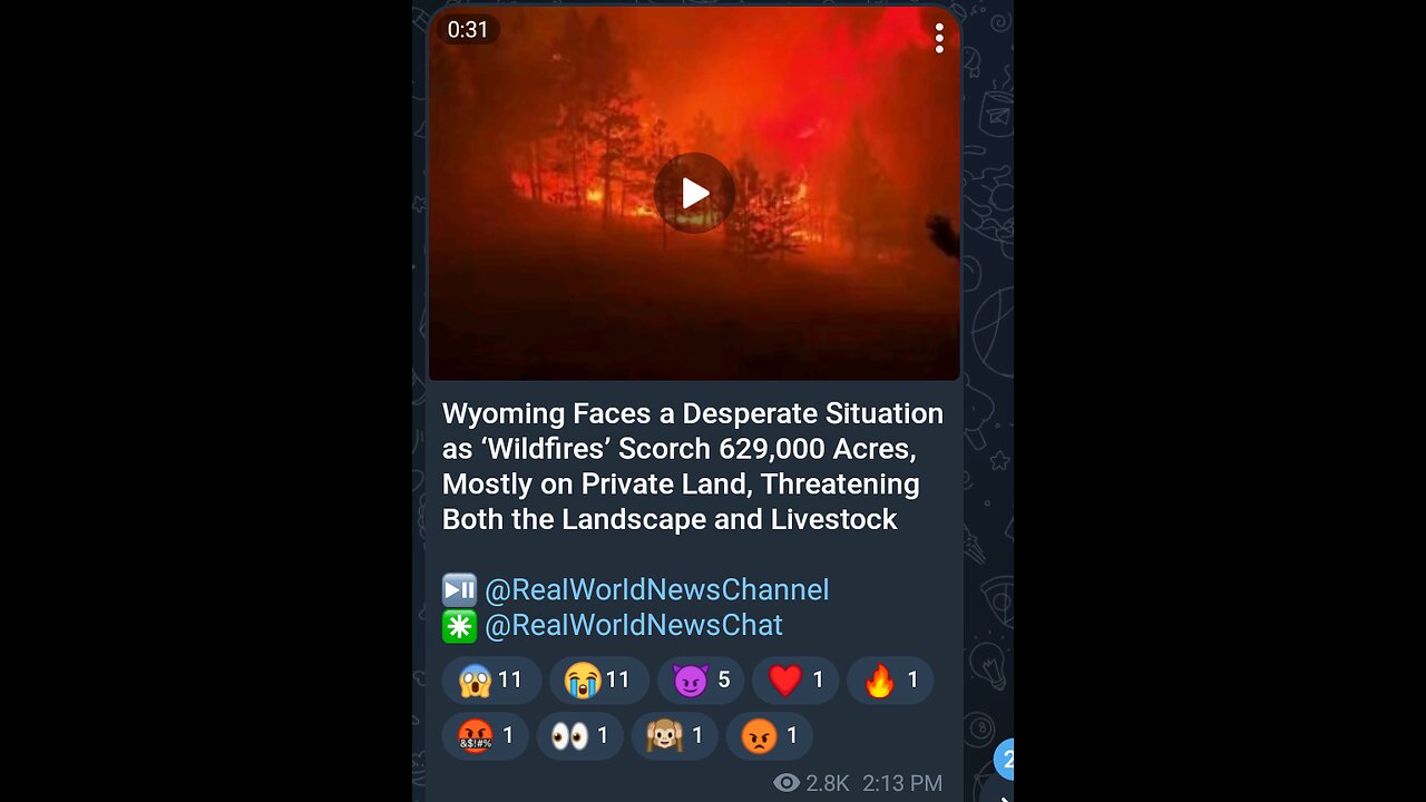 News Shorts: Wyoming Wildfires