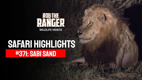 Safari Highlights #371: 13 - 16 October 2015 | Sabi Sand Nature Reserve | Latest Wildlife Sightings