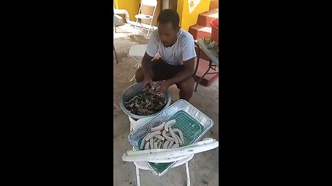Tobago 🇹🇹 Harvest Dalaford