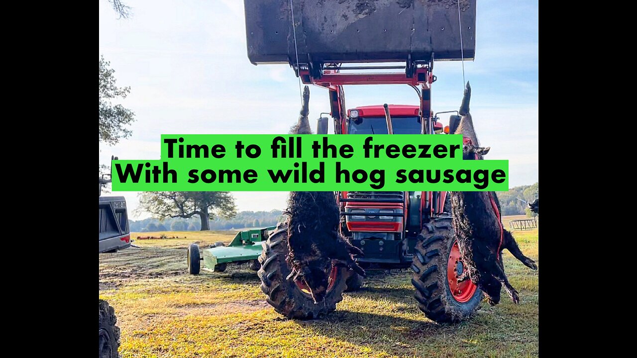 Time to fill the freezer with wild hog sausage