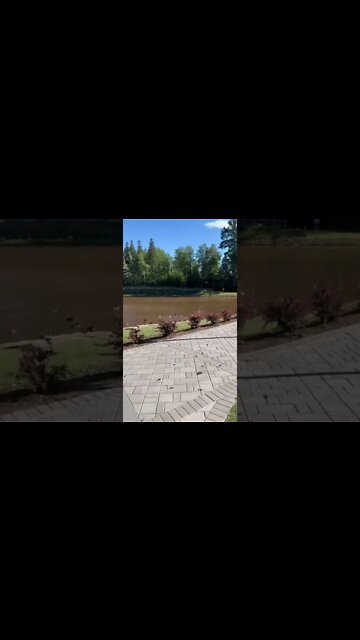 Centennial Park Walk in Moncton