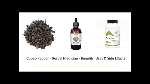 Cubeb Pepper - Herbal Medicine - Benefits, Uses & Side Effects