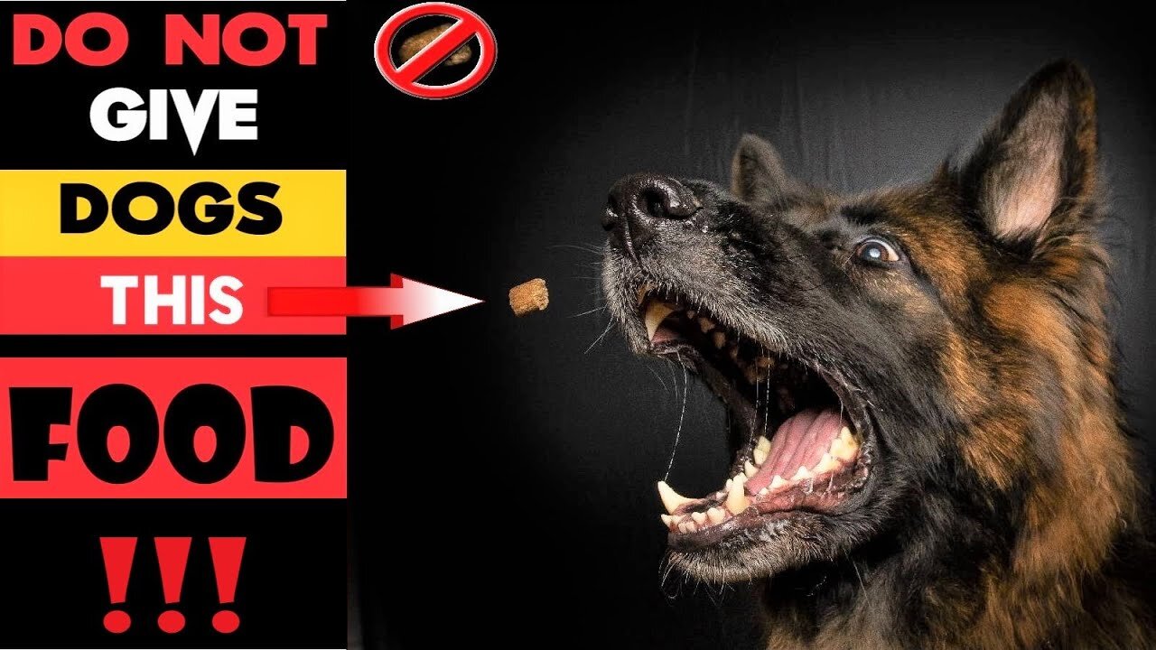 Never feed your dog these foods. Foods that will kill dogs.