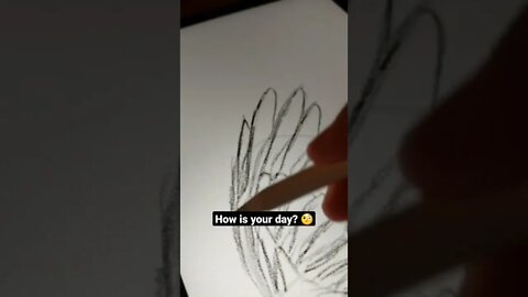 How to Draw Pegasus?🦄 - Daily Art nr.162🖌️