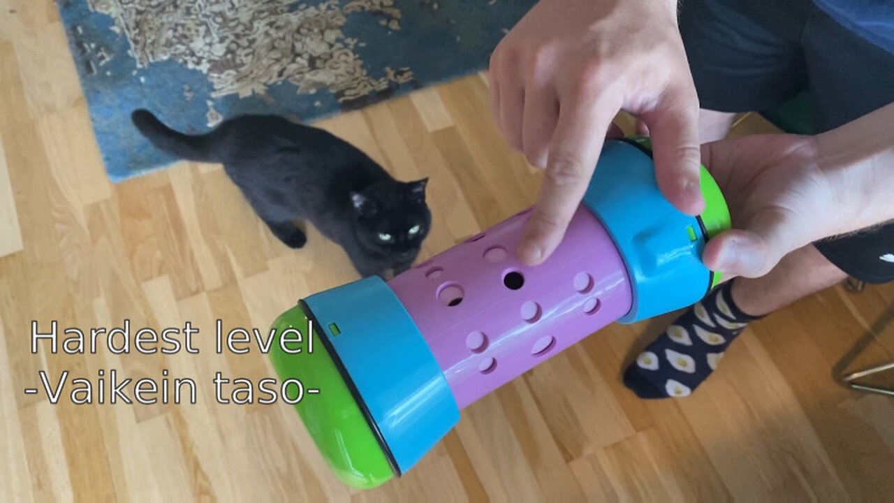 Vilma Cat Solves A Roller Food Puzzle: Hardest Level