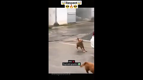 respect video