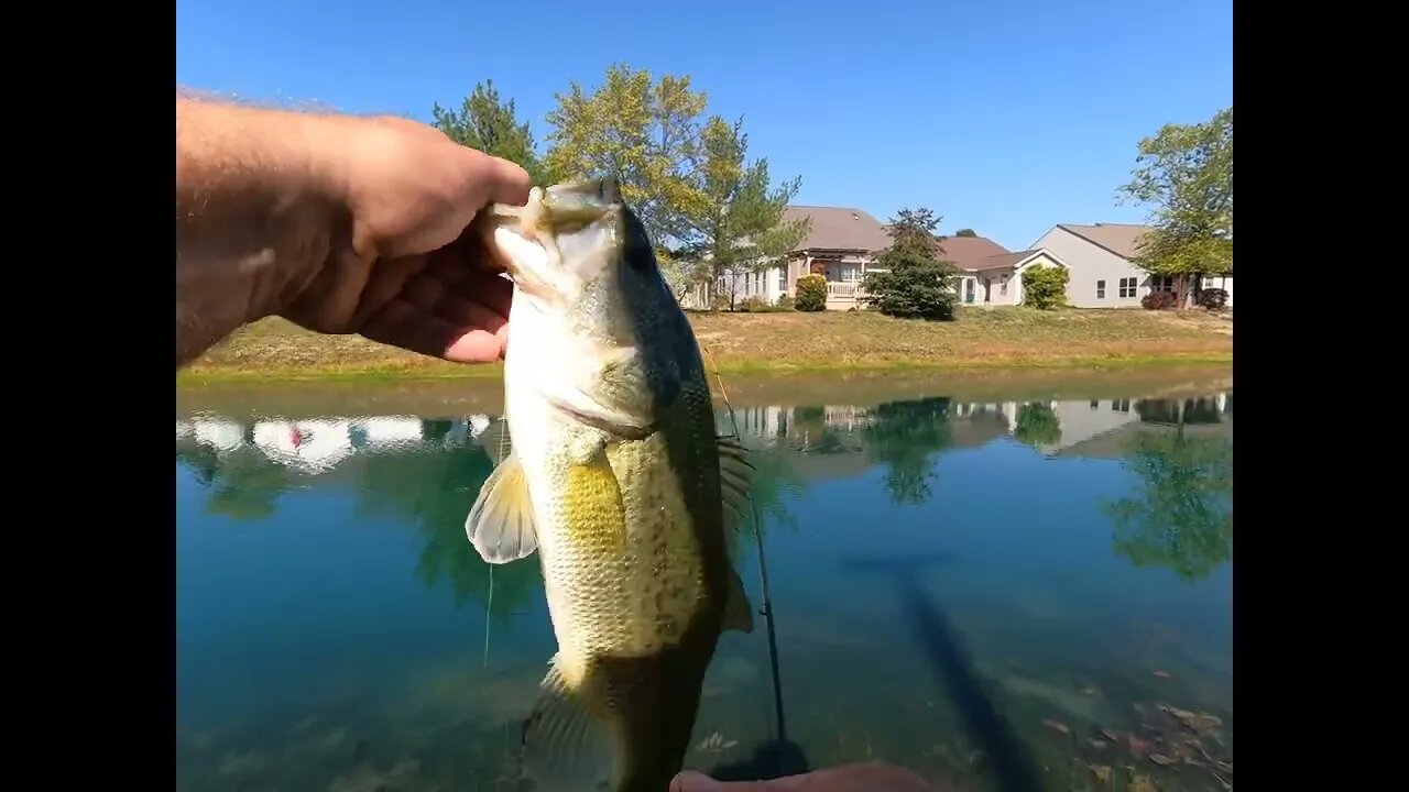 Pan Fishing Turned into a BASS Session... REAL QUICK!!